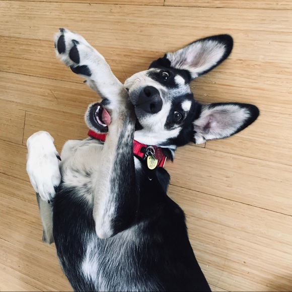 Meet your Posher, Lori - Picture 2 of 8